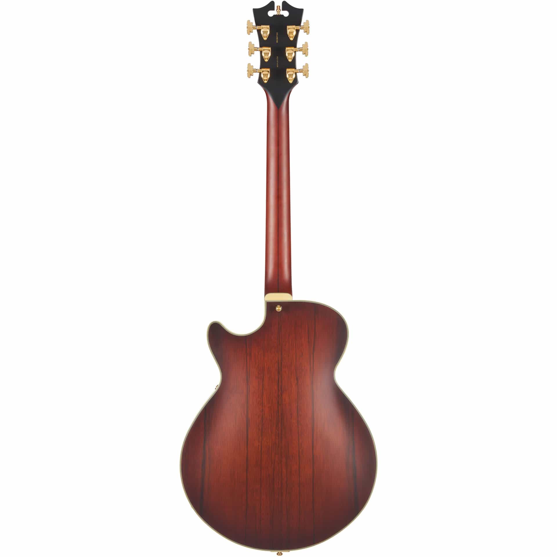 D’Angelico Guitars Deluxe SS Satin Brown Burst 1