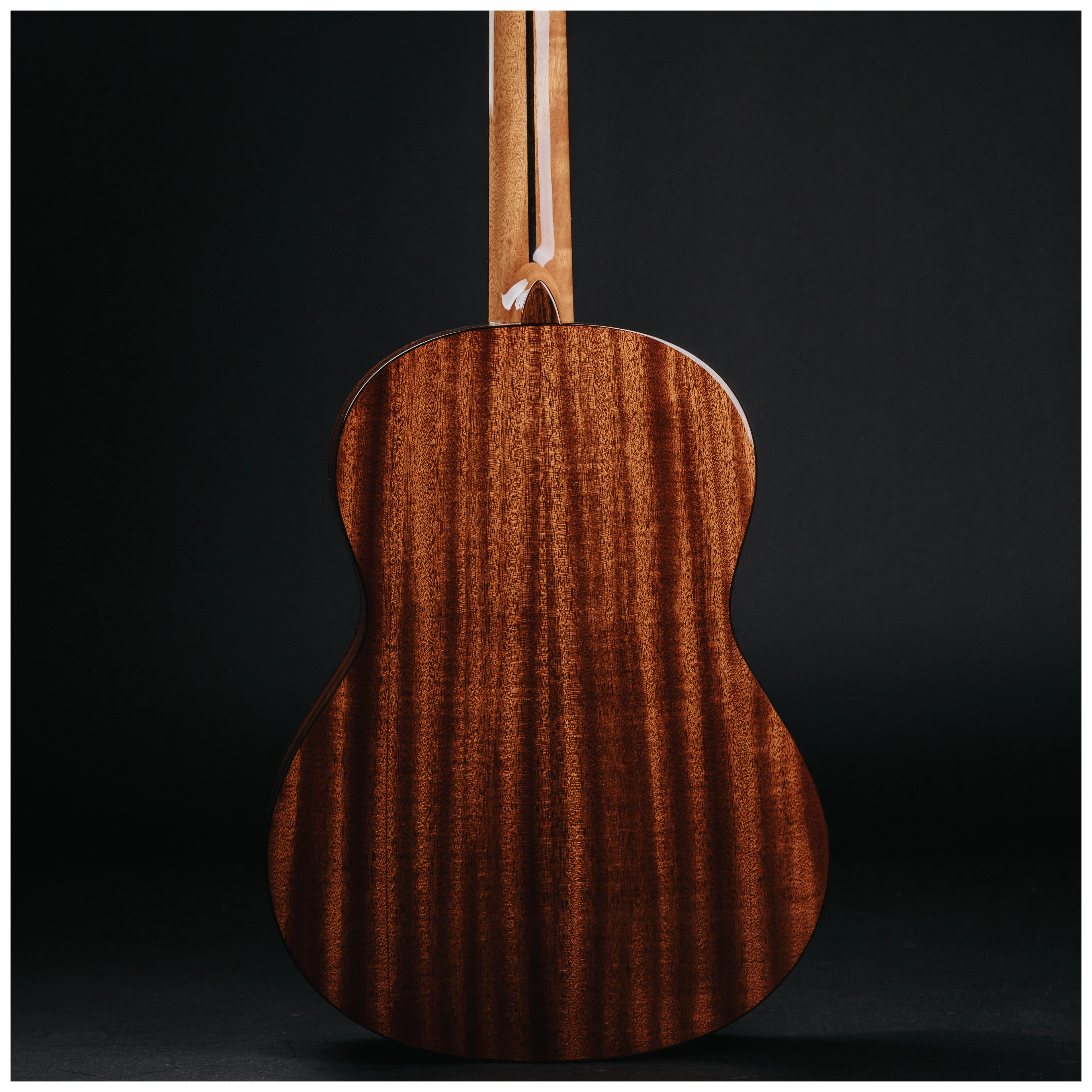 Redwood Cantora Pro 4/4 SM 20