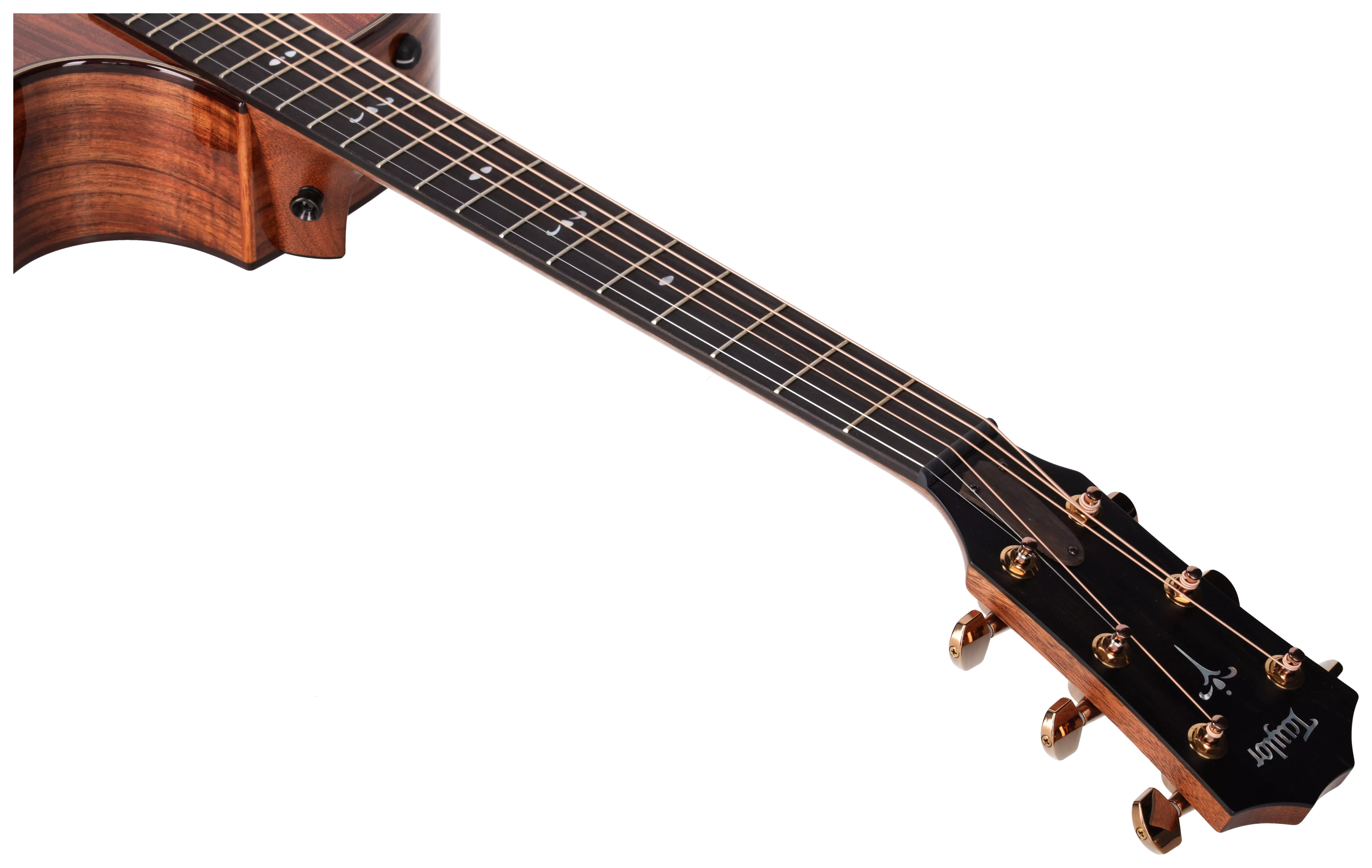 Taylor 722ce Koa Gloss 15