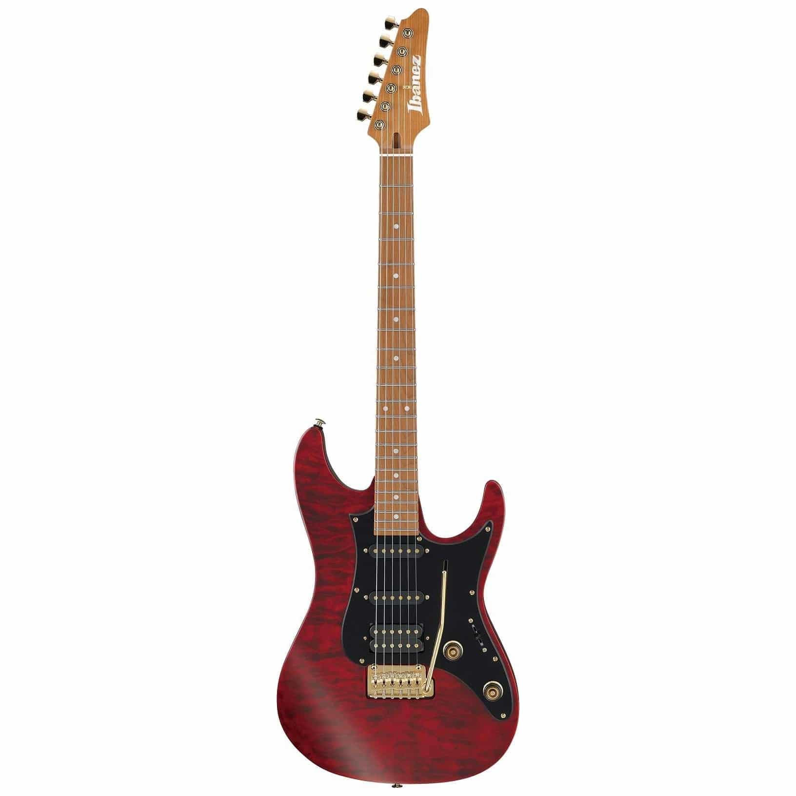 Ibanez - Ibanez SLM10 Scott LePage TRM