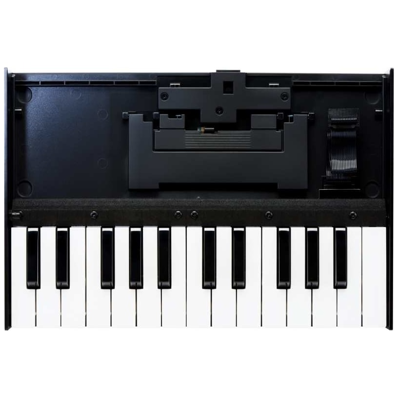 Roland - Roland Boutique K-25m - 1