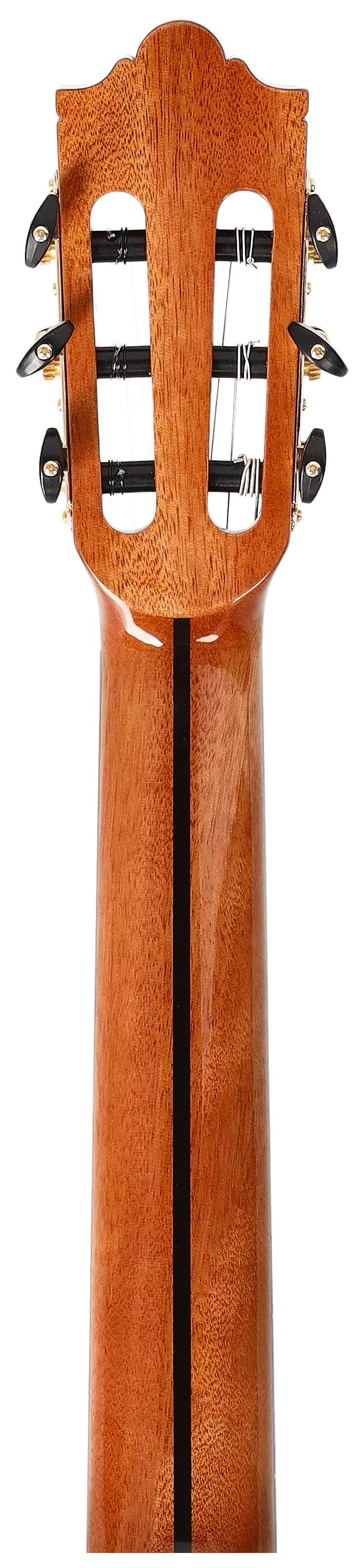 Redwood Cantora Pro 4/4 SM 12