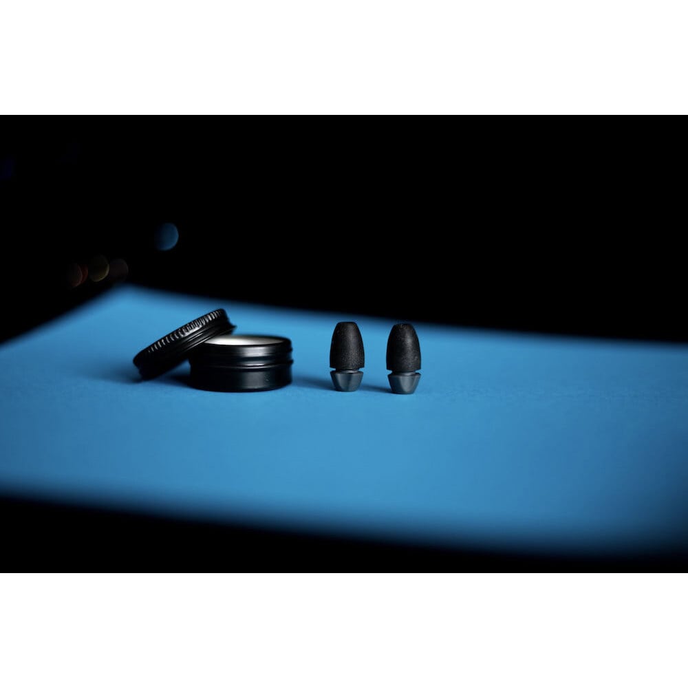  Hearing Filtered Earplugs 1