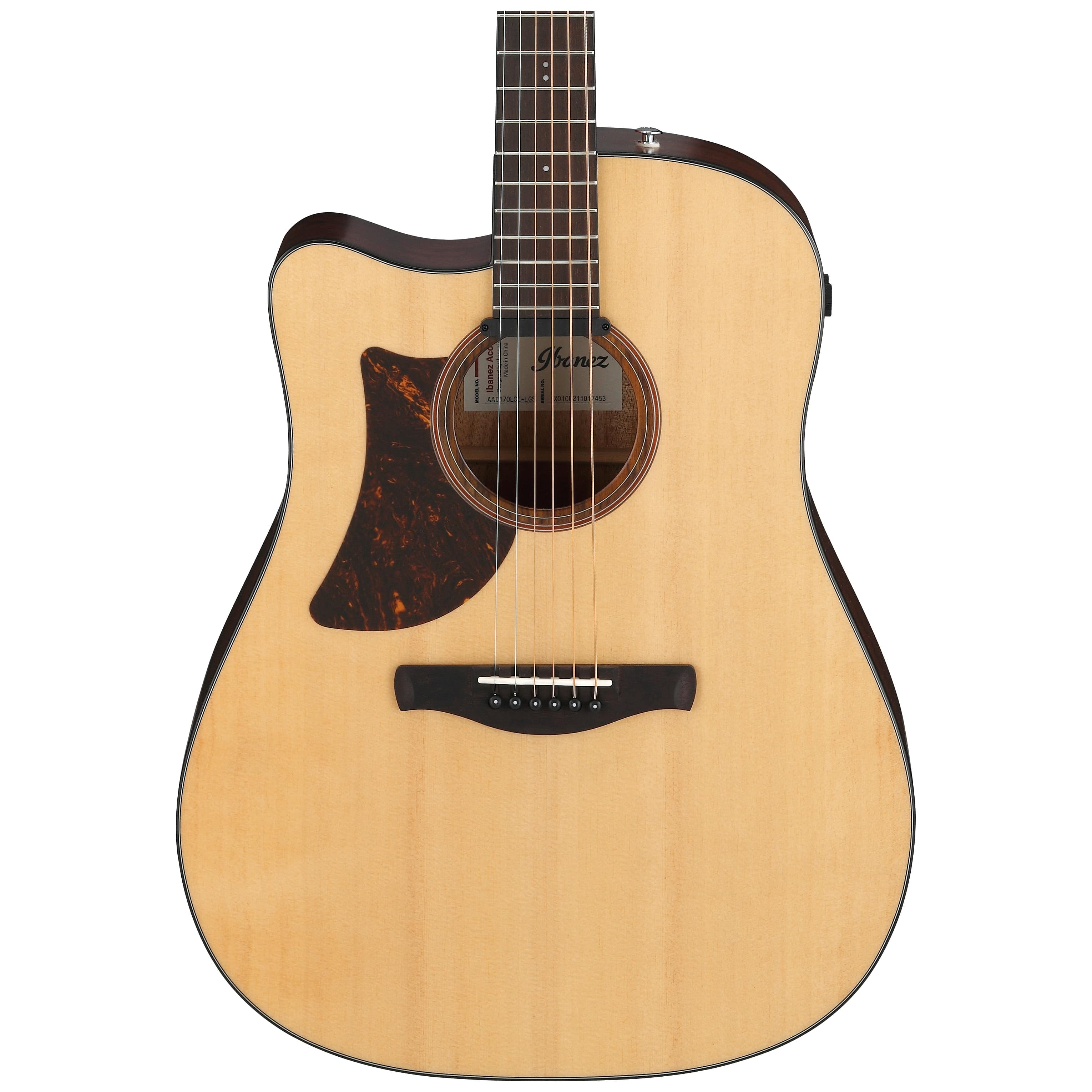 Ibanez AAD170LCE-LGS 4
