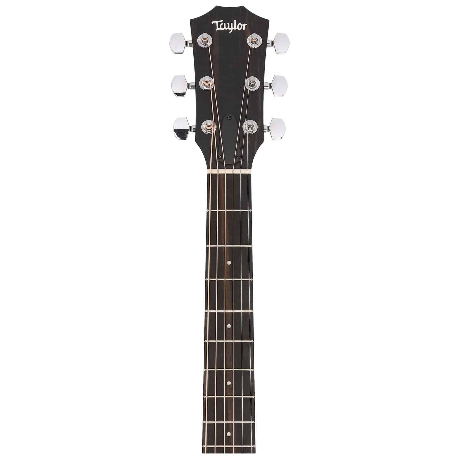 Taylor 110ce-S Sapele 5