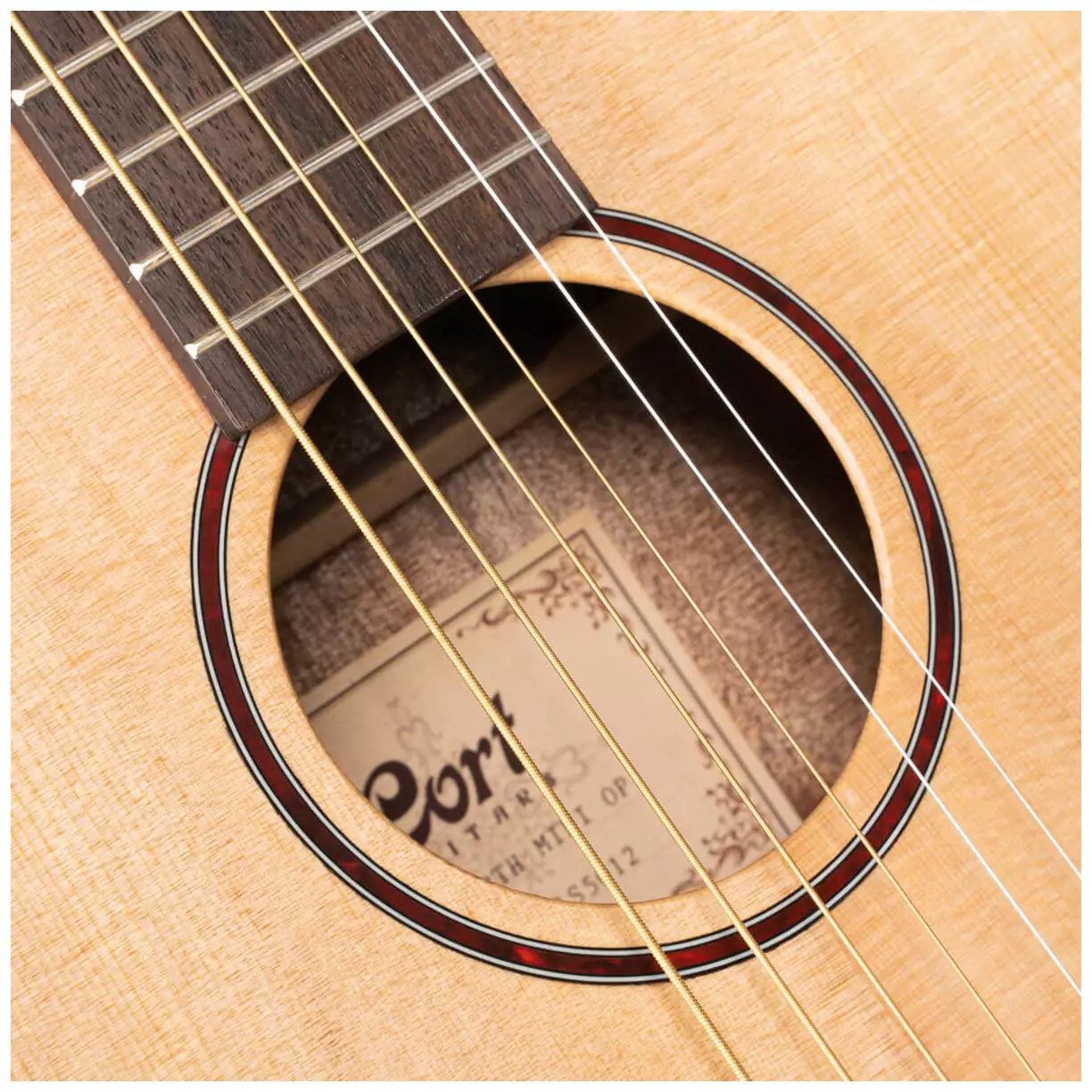 Cort Earth Mini 6