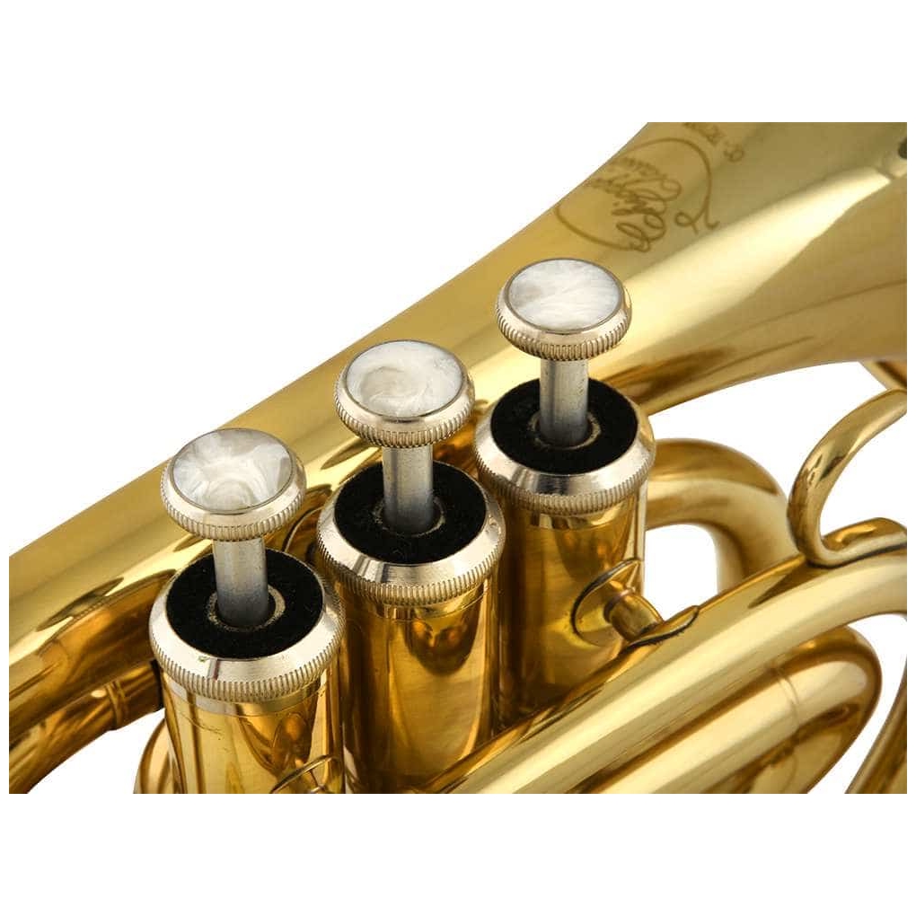 Chicago Winds - Chicago Winds CC-TR2100L Taschentrompete - 2