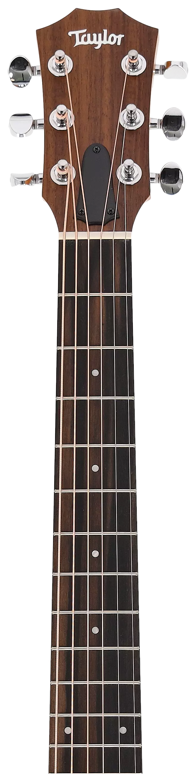 Taylor GS Mini-e LTD Olive 11