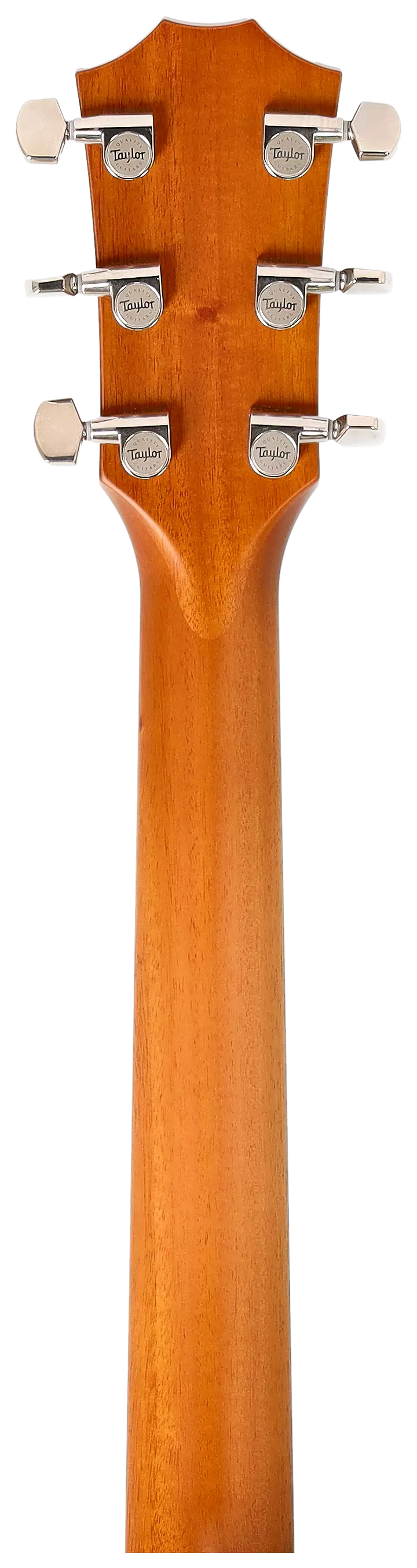 Taylor 614ce Next Generation 12