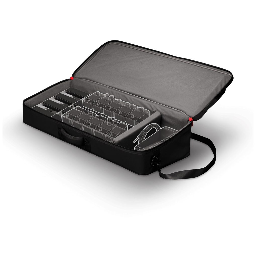 D’Addario - D’Addario XPND BACKLINE PB TRANSPORT PACK 2 - 1
