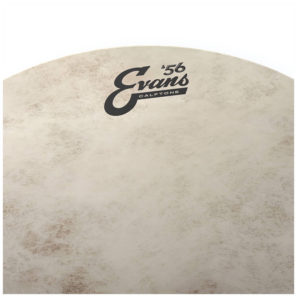 Evans TT10C7 - Calftone Tom Batter, 10 Zoll 1