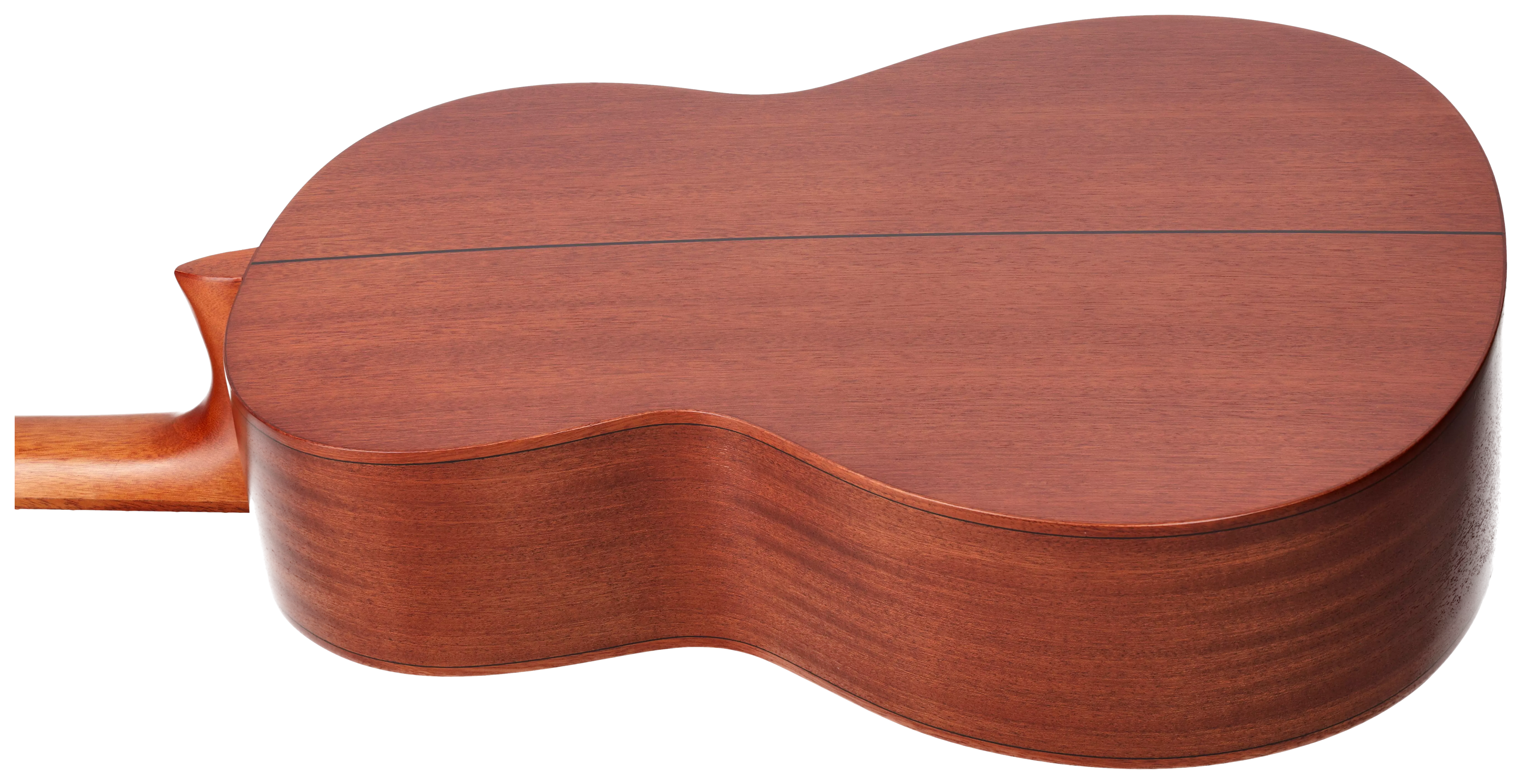 Redwood Cantora Plus 4/4 SM Satin Black 8