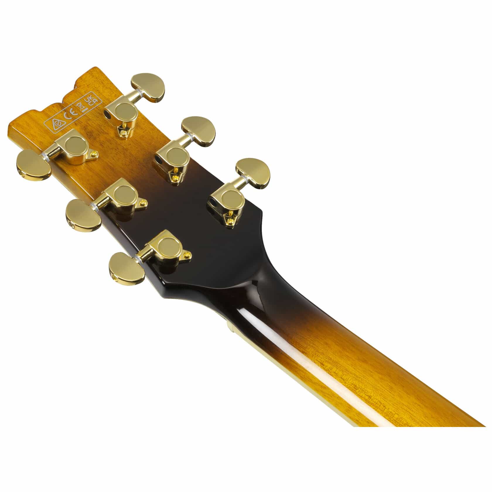 Ibanez JSM10EM-TTB 11
