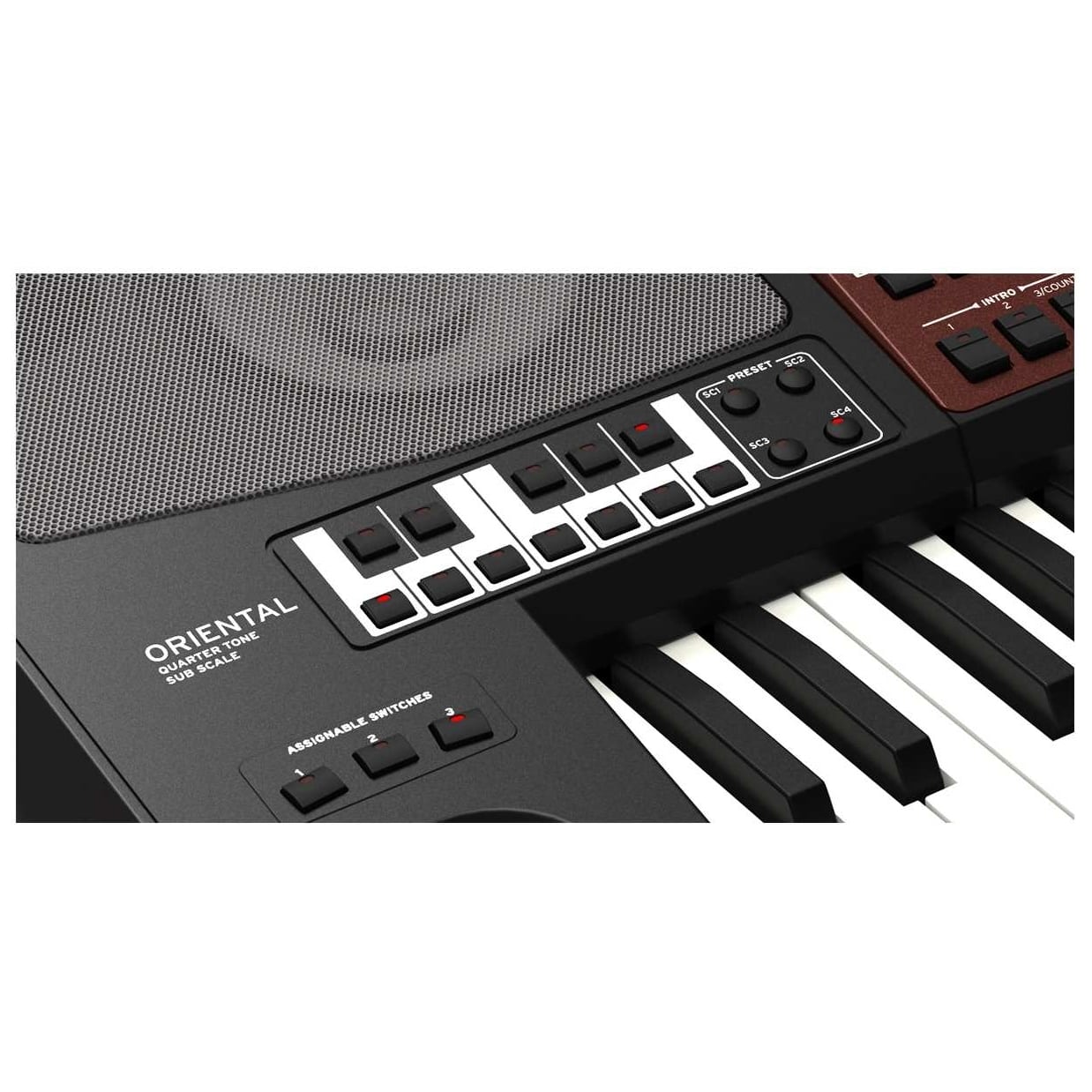 Korg - Korg PA-700 Oriental - 3