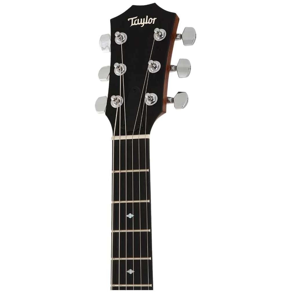 Taylor - Taylor T5z Classic - 3
