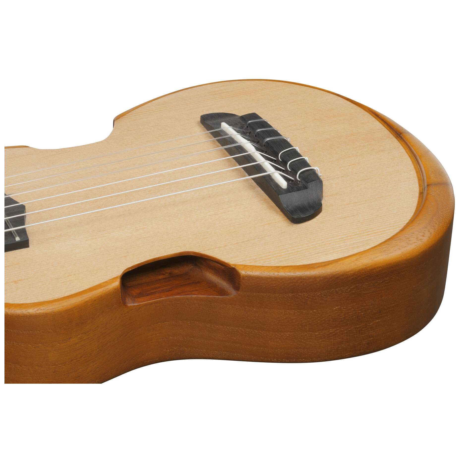 Ibanez AUP10N-OPN 10