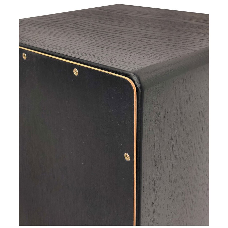 Pur Vision PRO PC 4399 Black & Gold 3