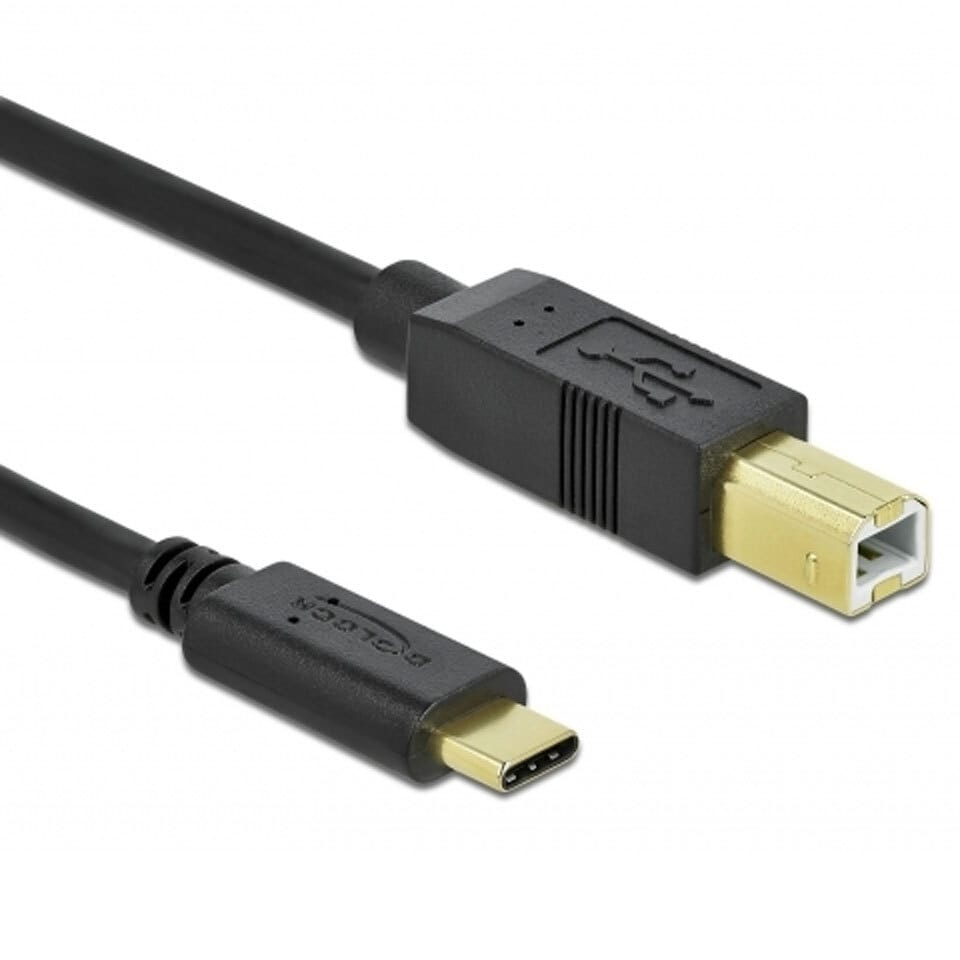 Delock USB 2.0 Cable Type-C to Type-B 4m 1