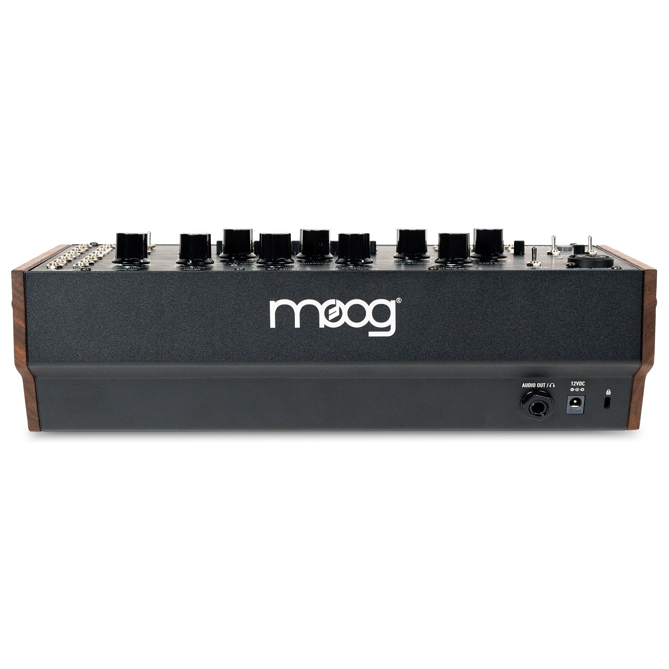 Moog Spectravox 6