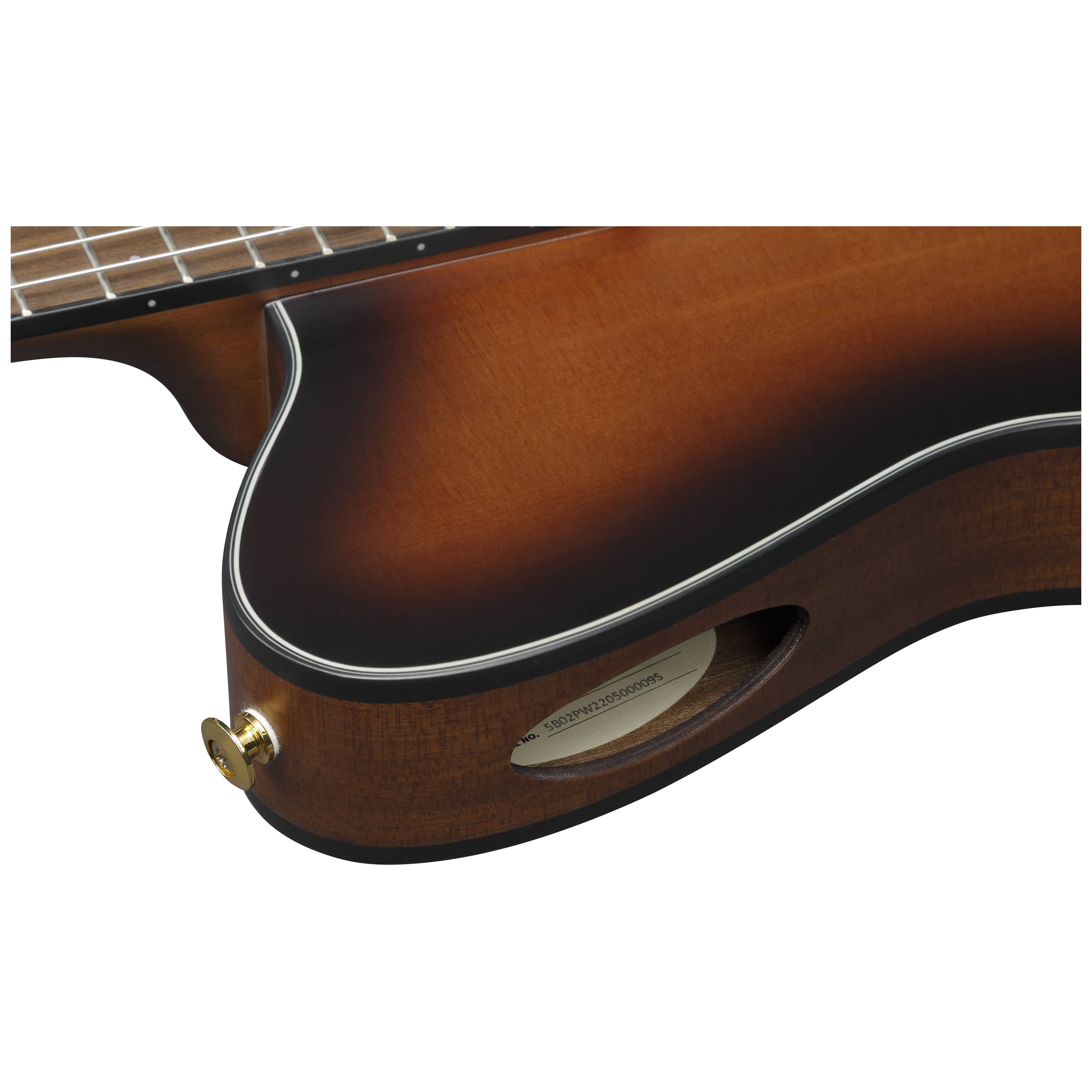Ibanez FRH10N-BSF 10
