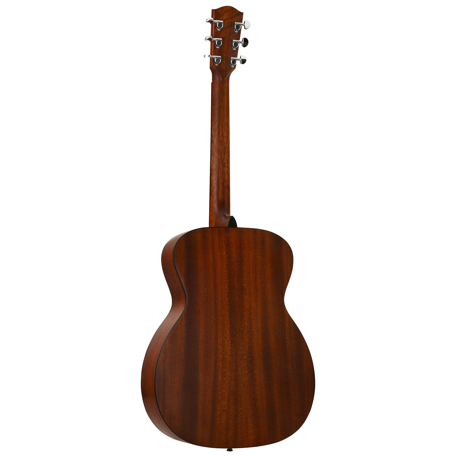 Image of Eastman pch1 om 10003764 3