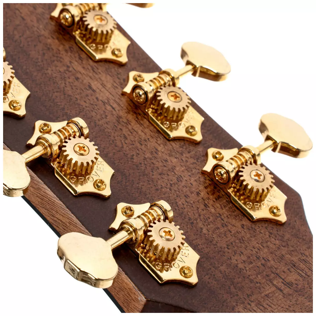 Cort Gold A6 Natural Gloss 8