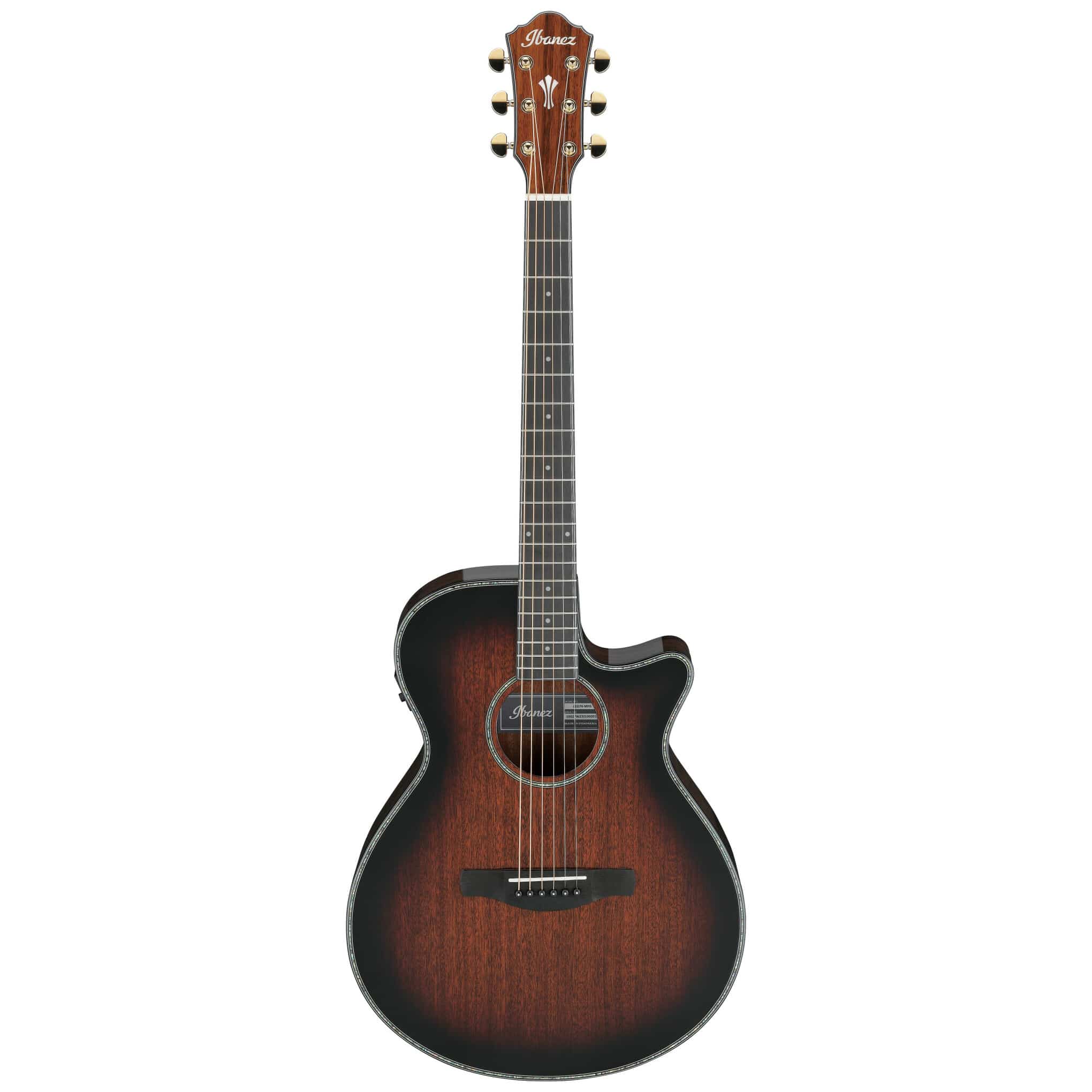 Ibanez AEG74-MHS 1