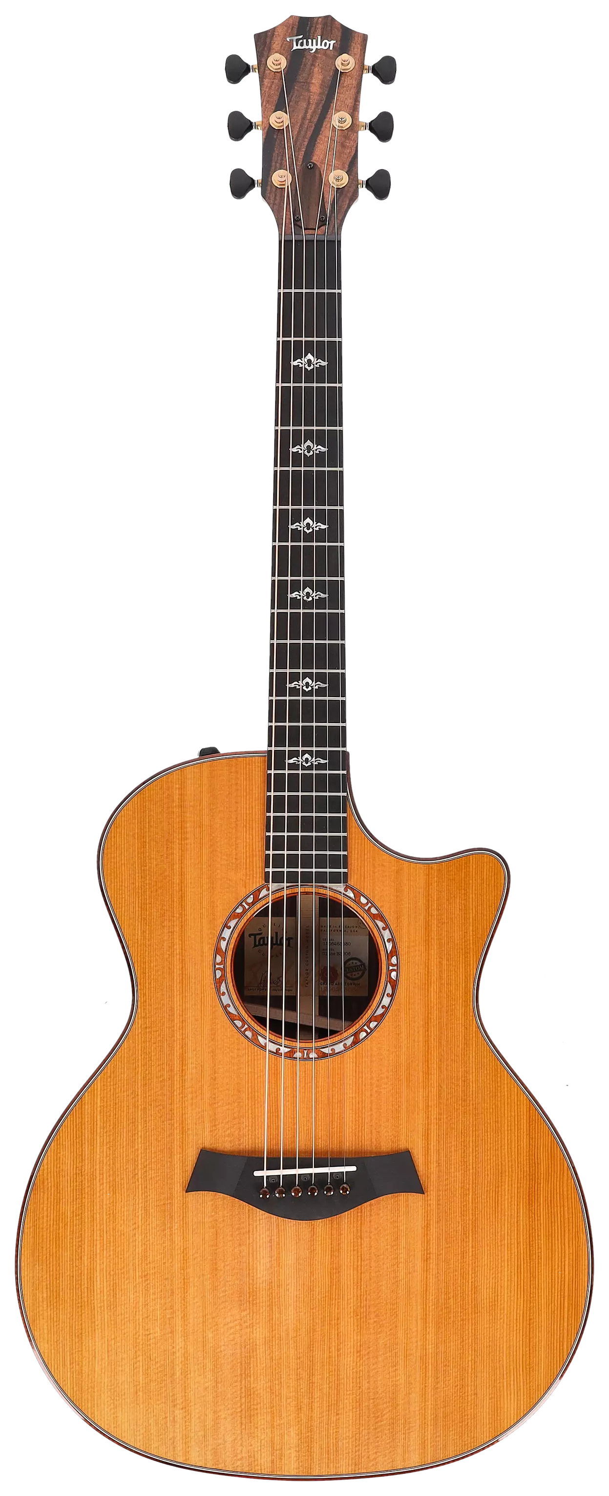 Taylor Custom GA C14ce Rosewood/Torrefied Sitka #6