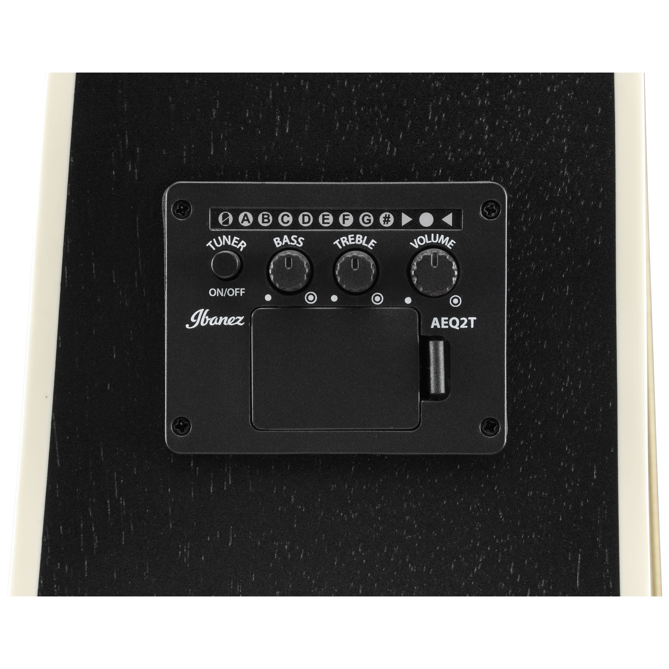 Ibanez PF16MWCE-WK 10