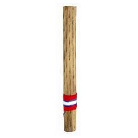  Small Kaktus Rainmaker Thin 25 cm