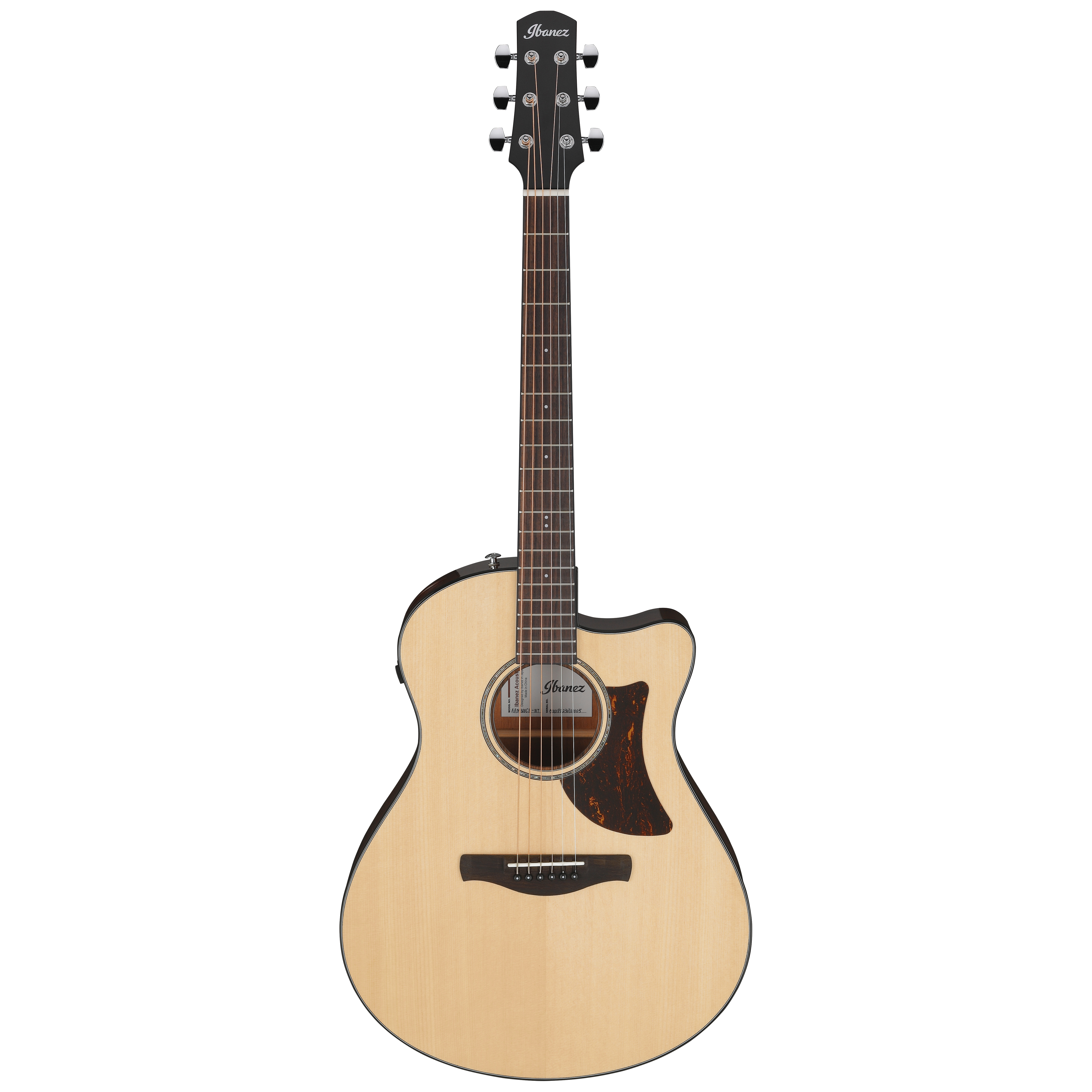 Ibanez AAM300CE-NT 1