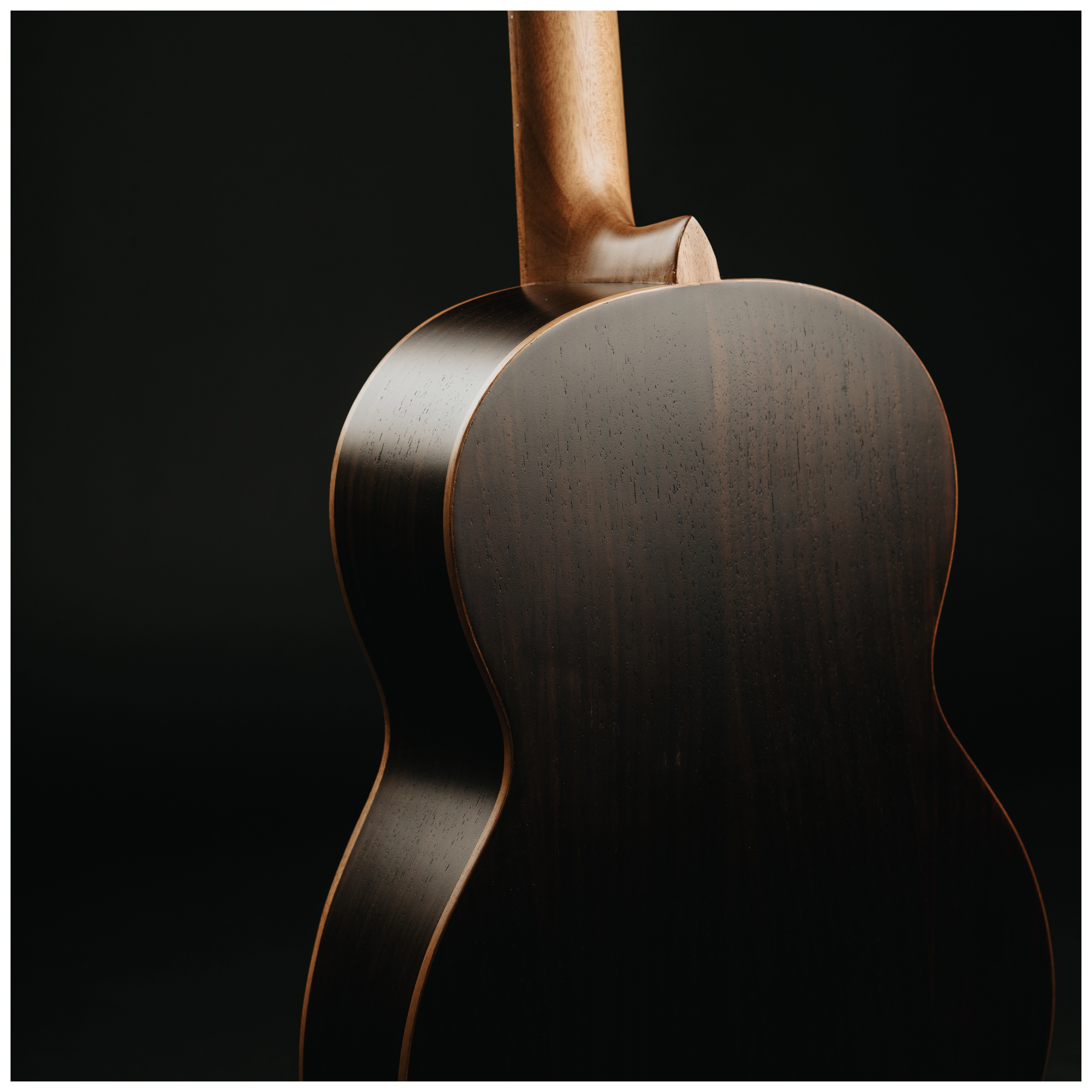Maton Cantora Plus 4/4 LH 24