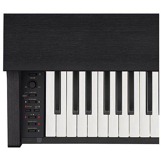 Casio - Casio Celviano AP-270 BK - 2