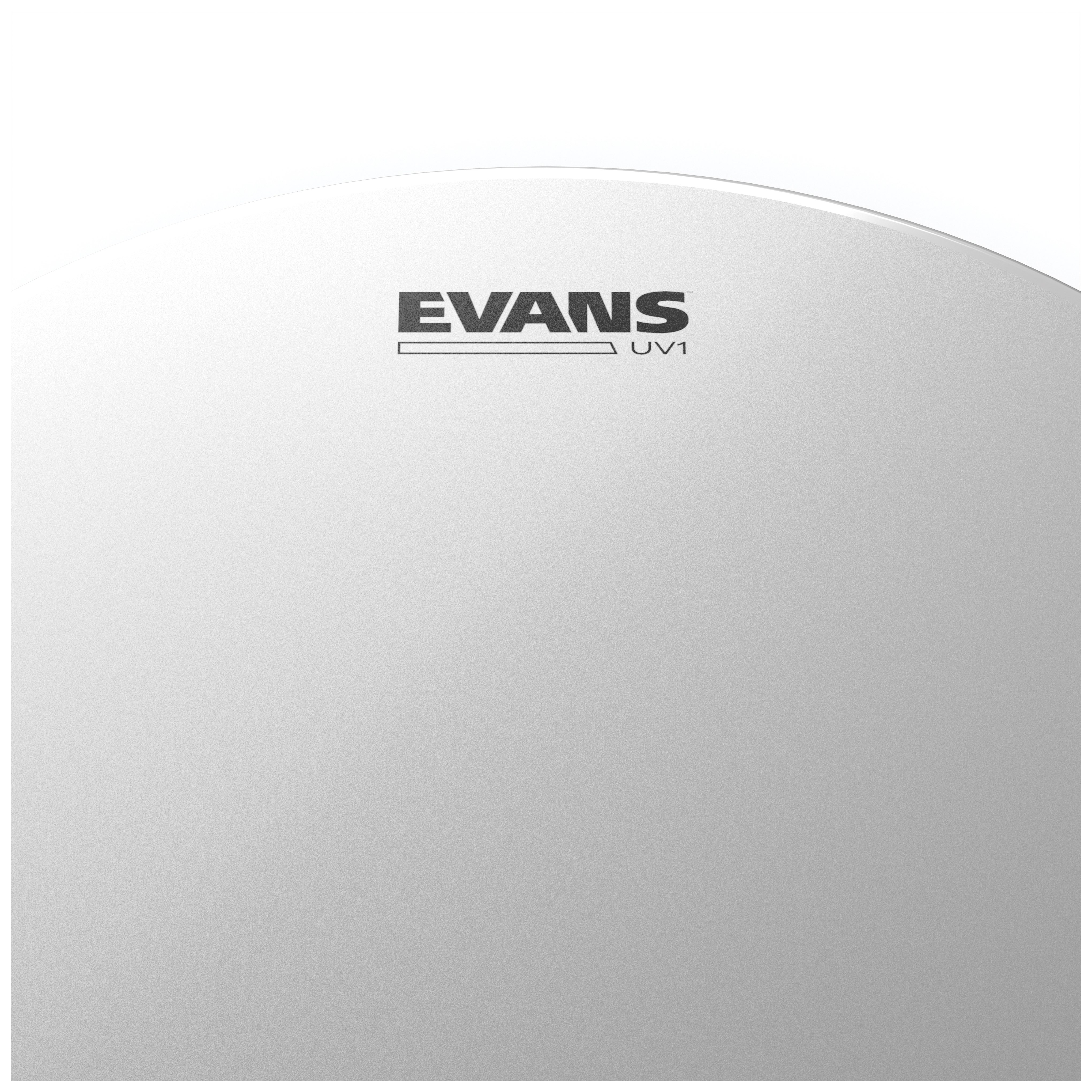 Evans B15UV1 - UV1 Coated Drum Head, 15 Zoll