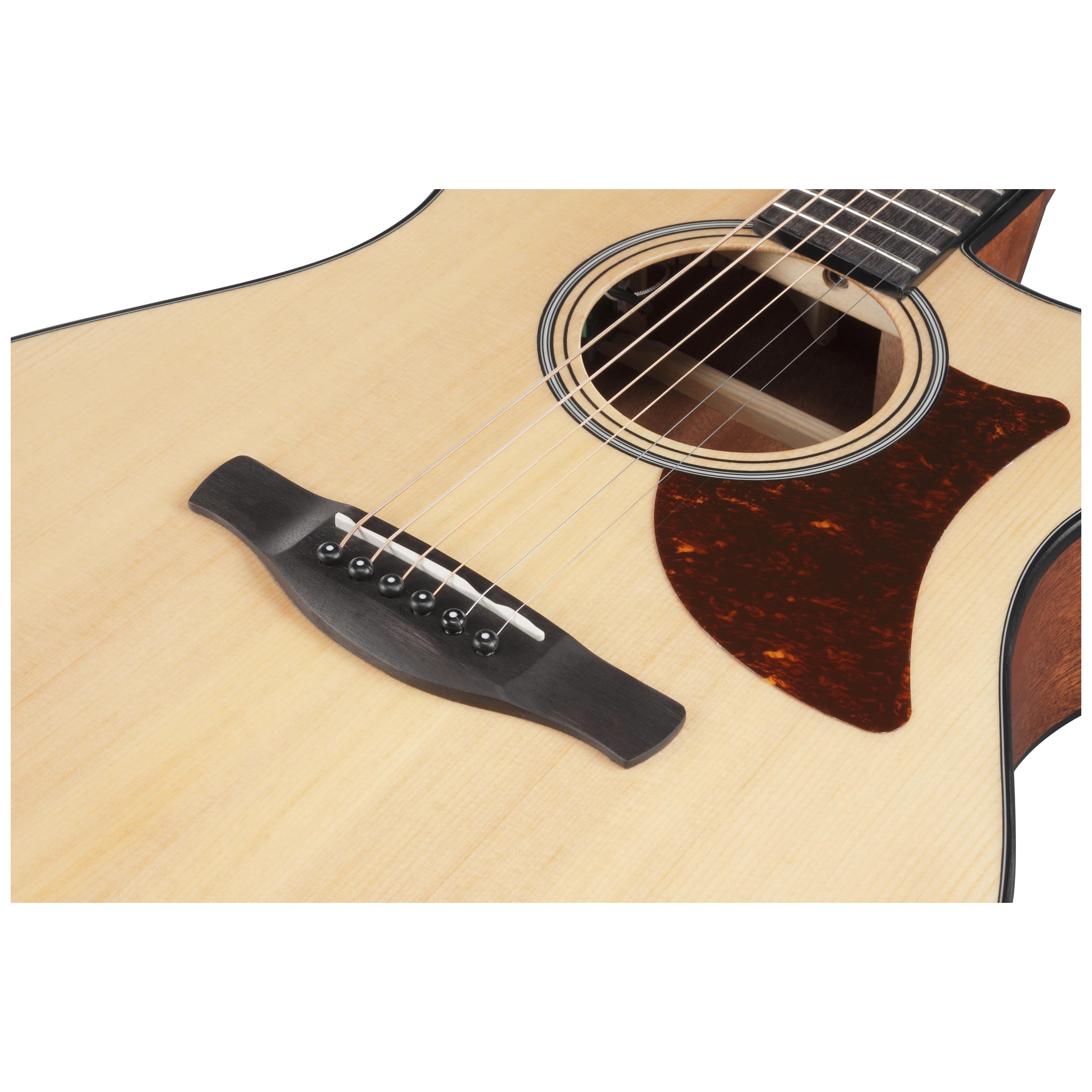 Ibanez AAM50CE-OPN 10