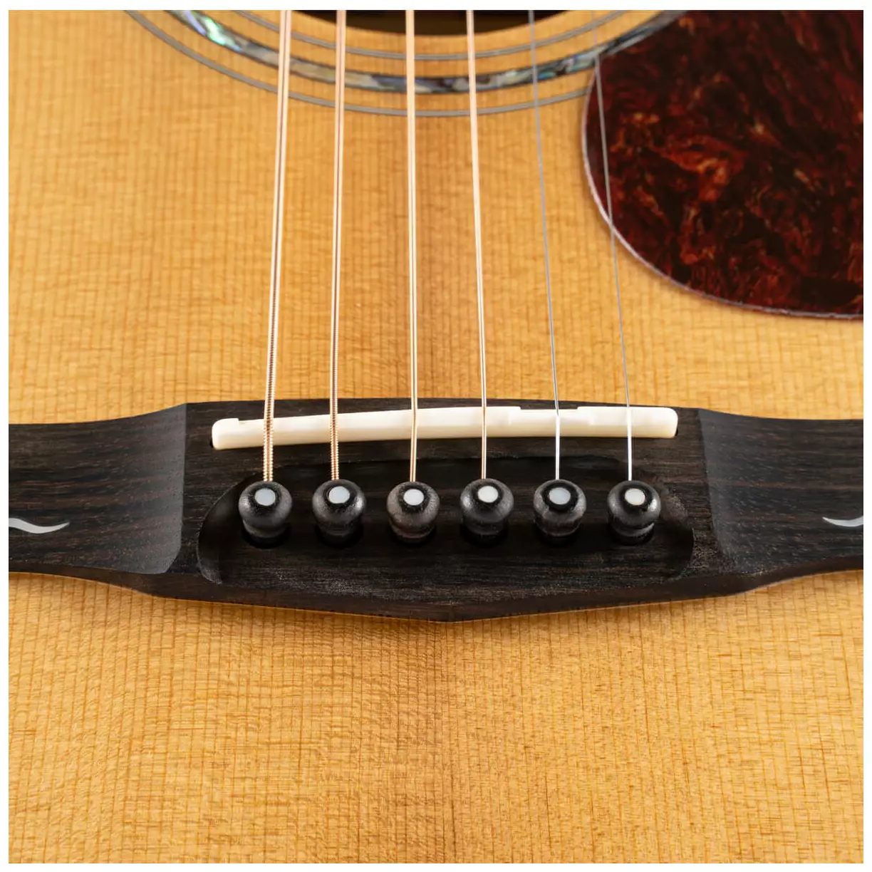 Cort Gold A6 Natural Gloss 7