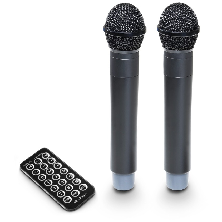 LD Systems Road Buddy 10 HHD 2 10000701-5