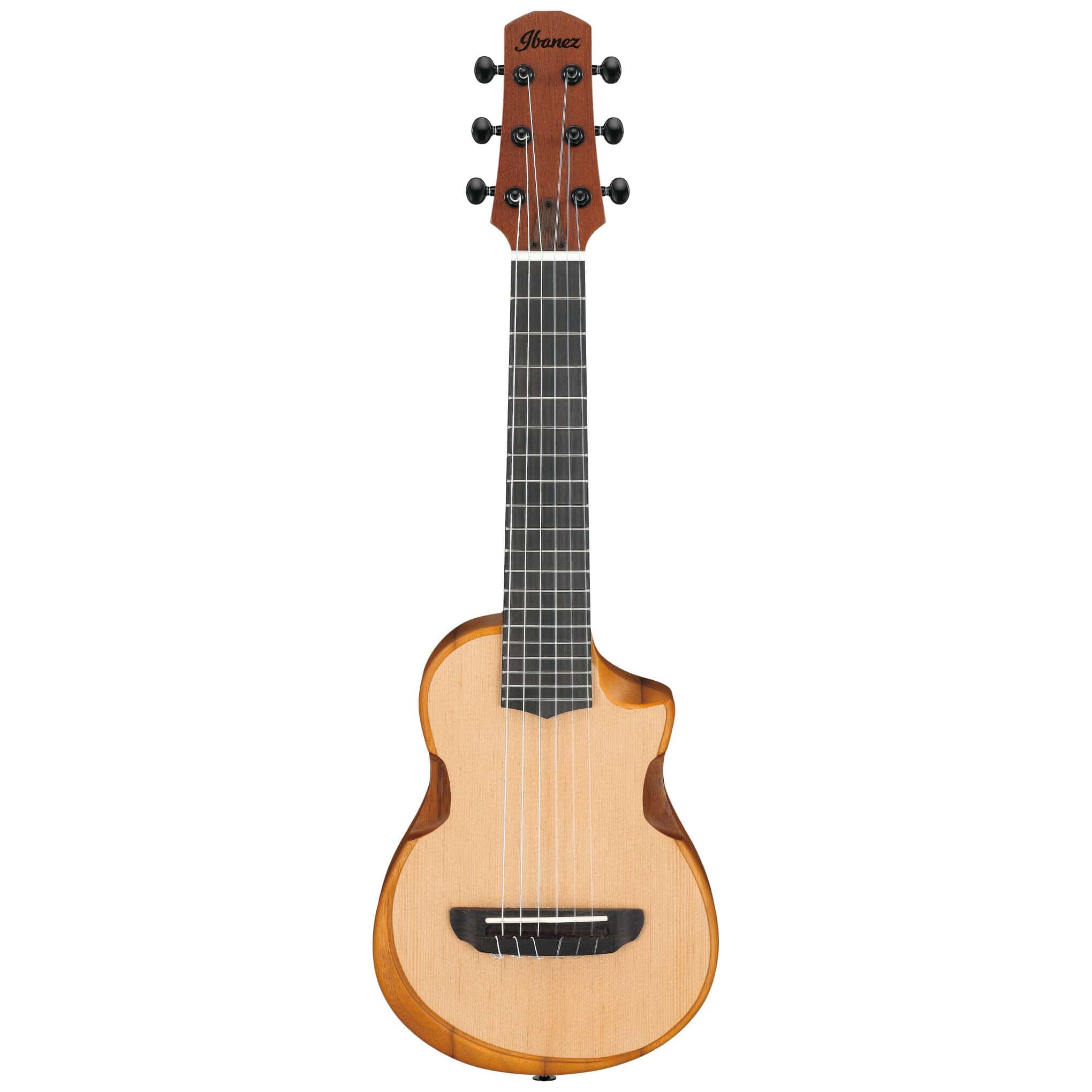 Ibanez AUP10N-OPN