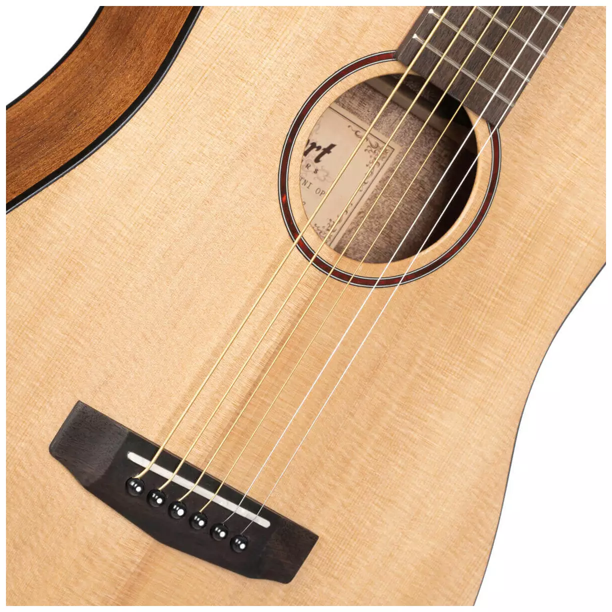 Cort Earth Mini 3