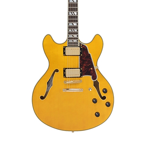 ES-Gitarren