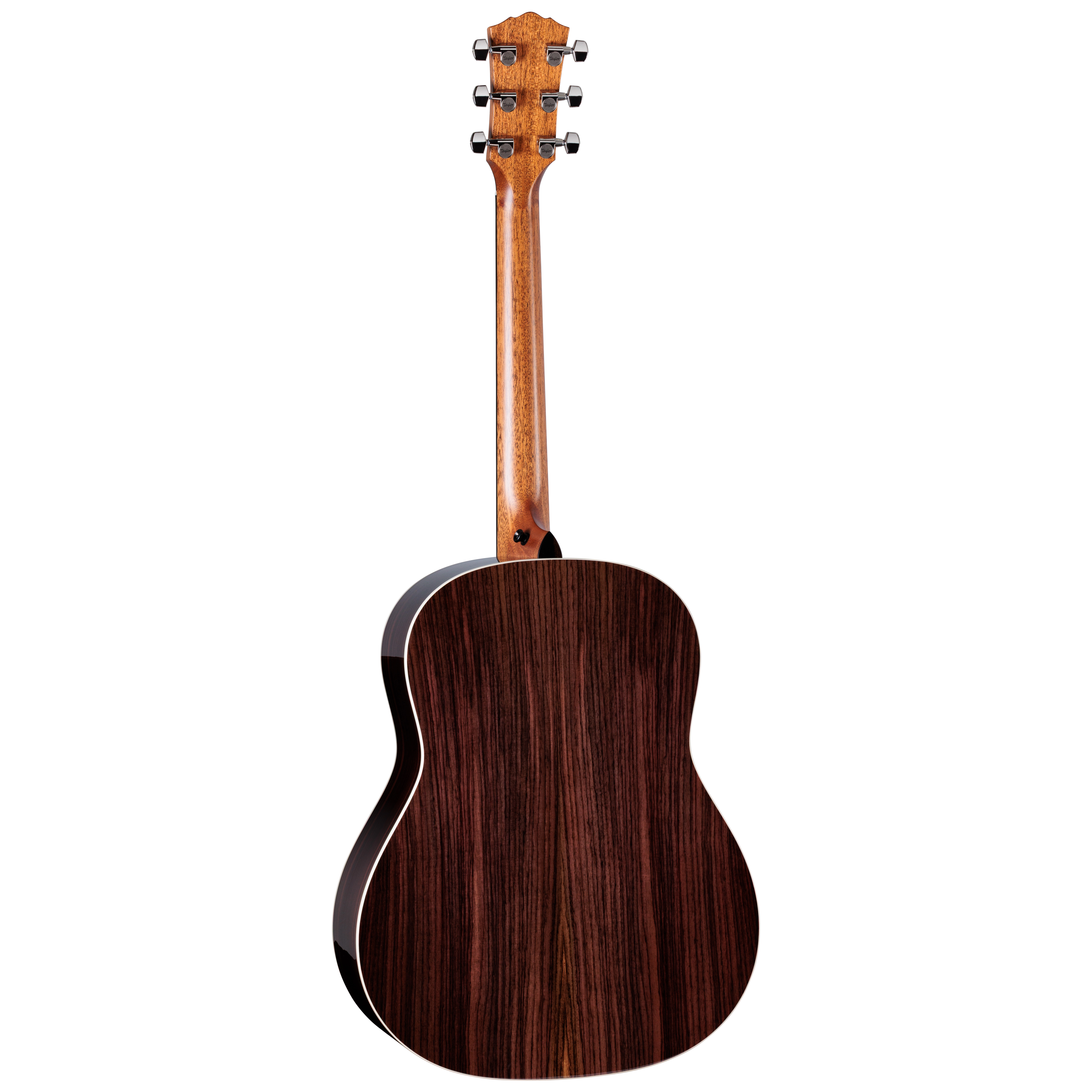 Taylor Gold Label 717e Natural 4