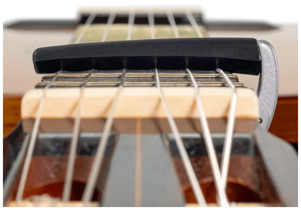 D’Addario PW-CP-19S - Pro Plus Capo Silver 5