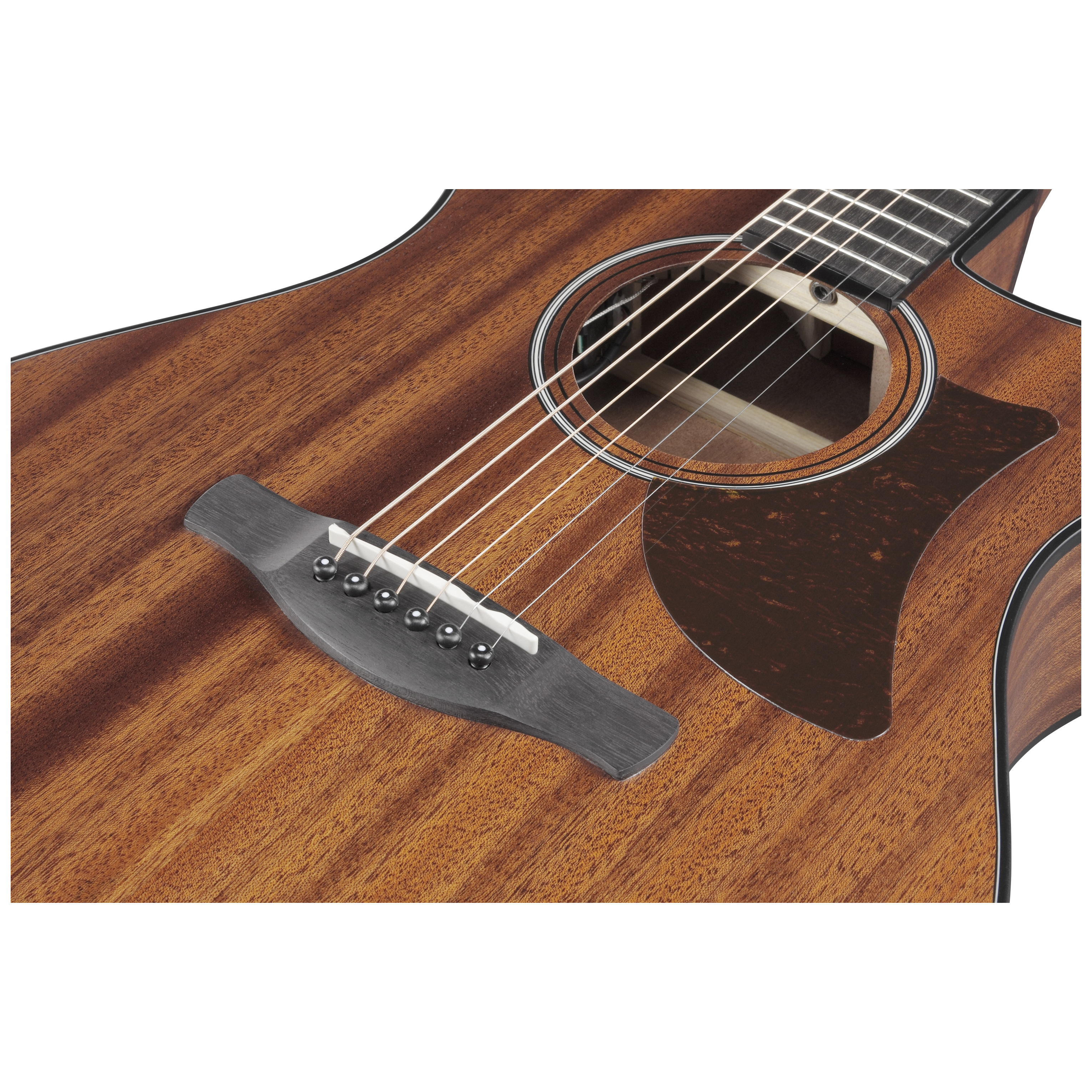 Ibanez AAM54CE-OPN 10