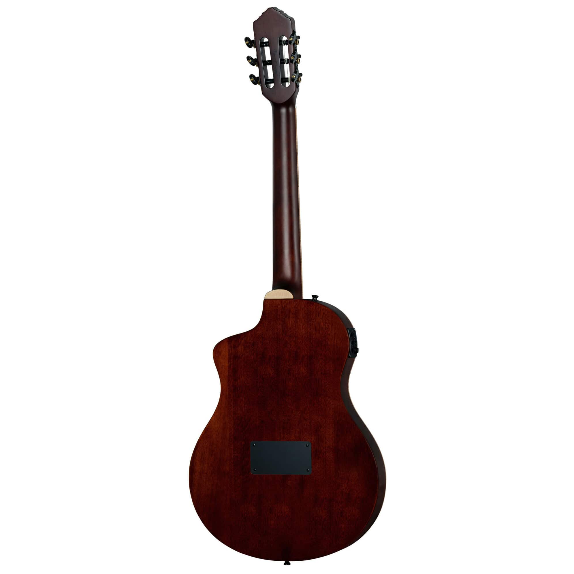 Ortega Tour Player RTPDLX-ACA 5