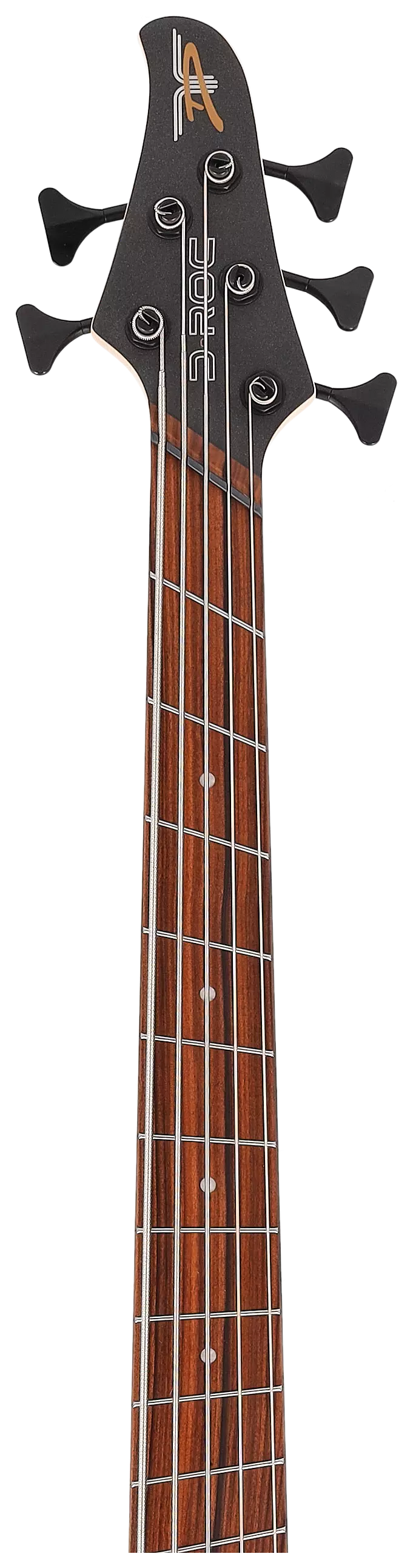 Dingwall LTD D-Roc 5-String Ducati Gold Matte 11