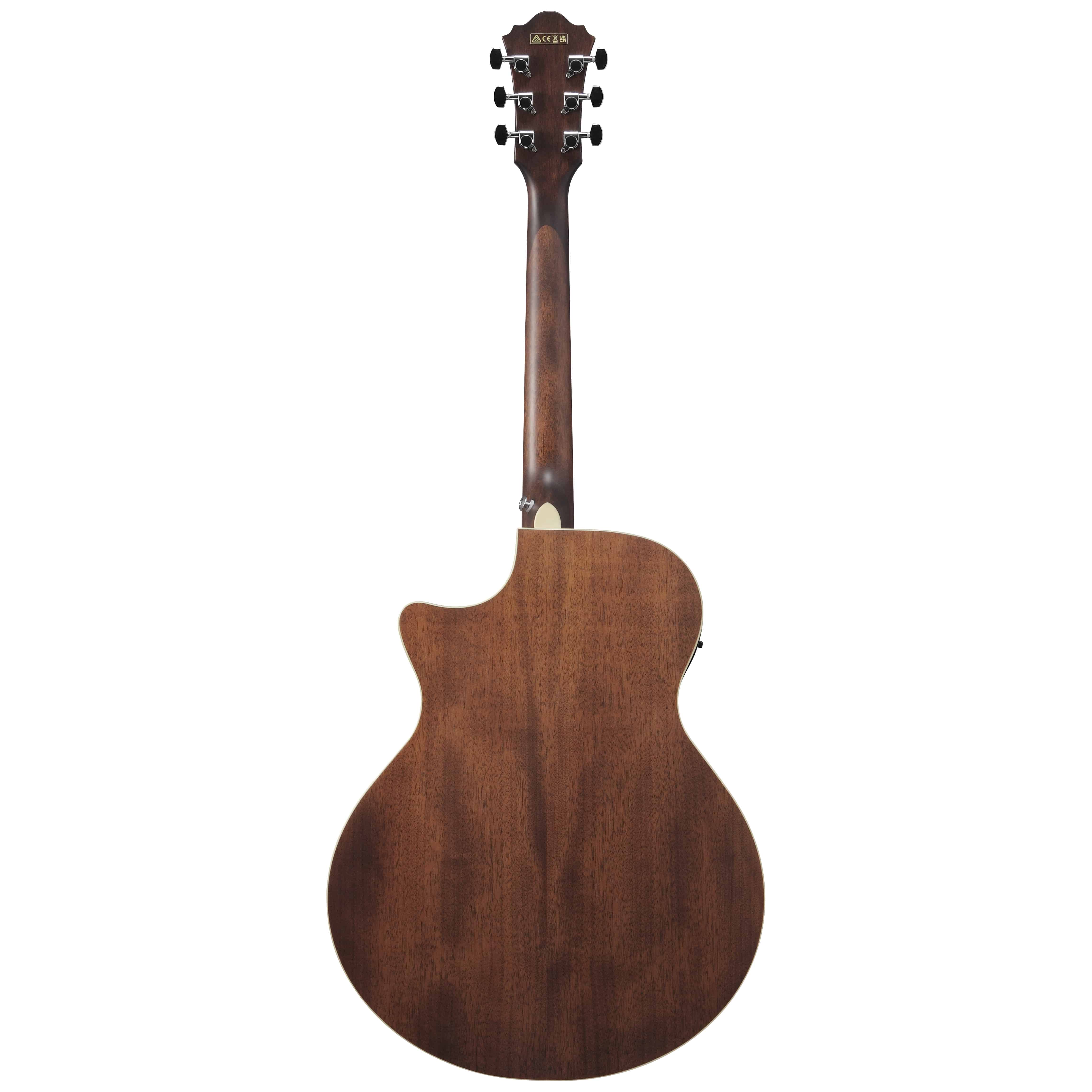 Ibanez AE100-DBF 2