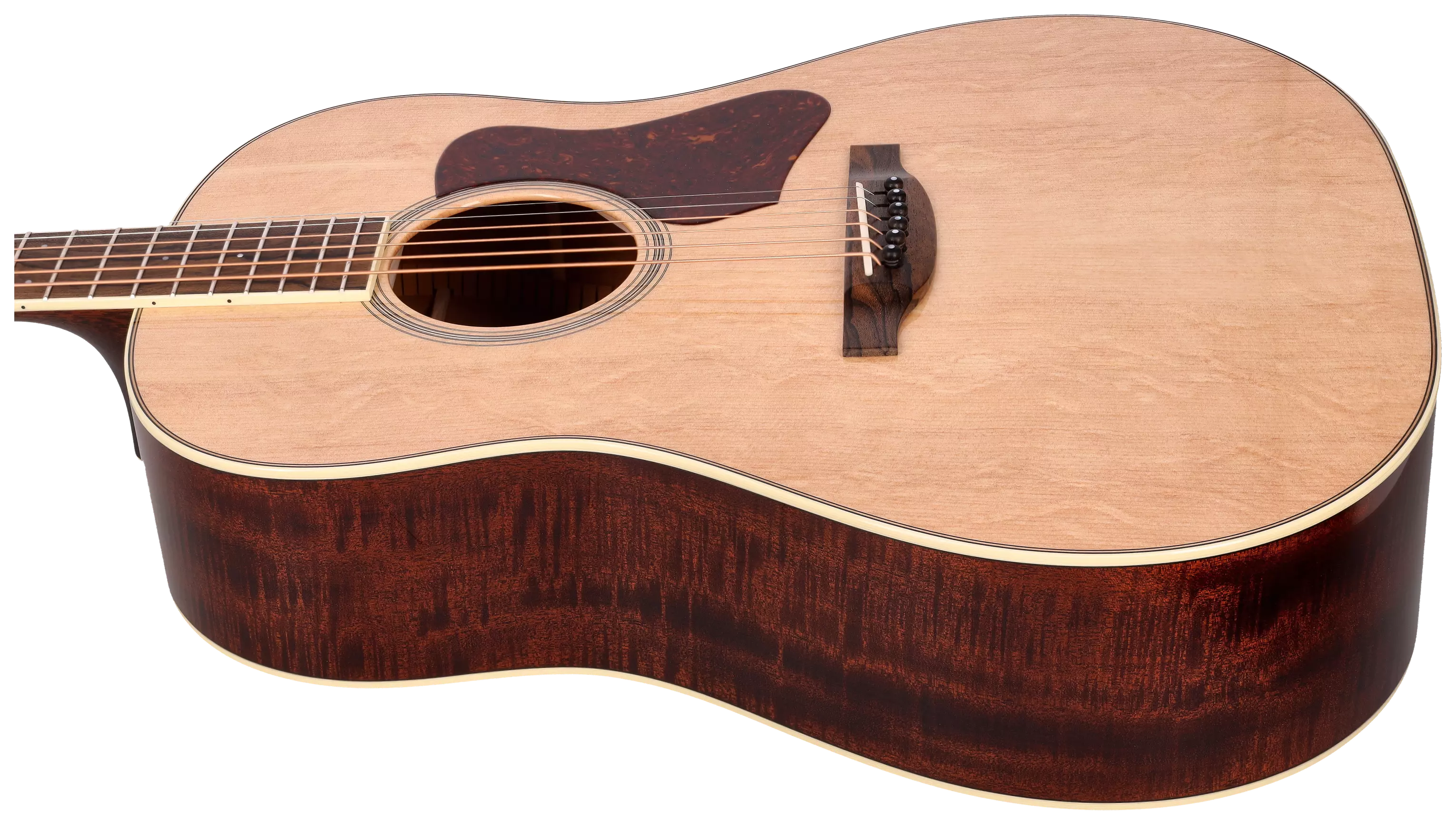 Bourgeois Guitars Banjo Killer 10