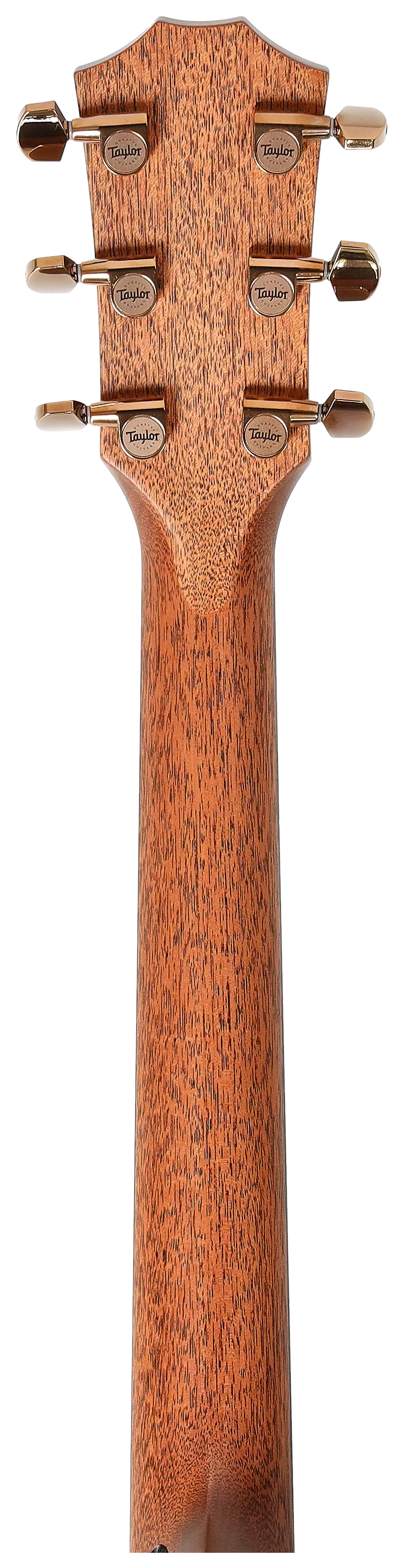 Taylor 722ce Koa Gloss 14