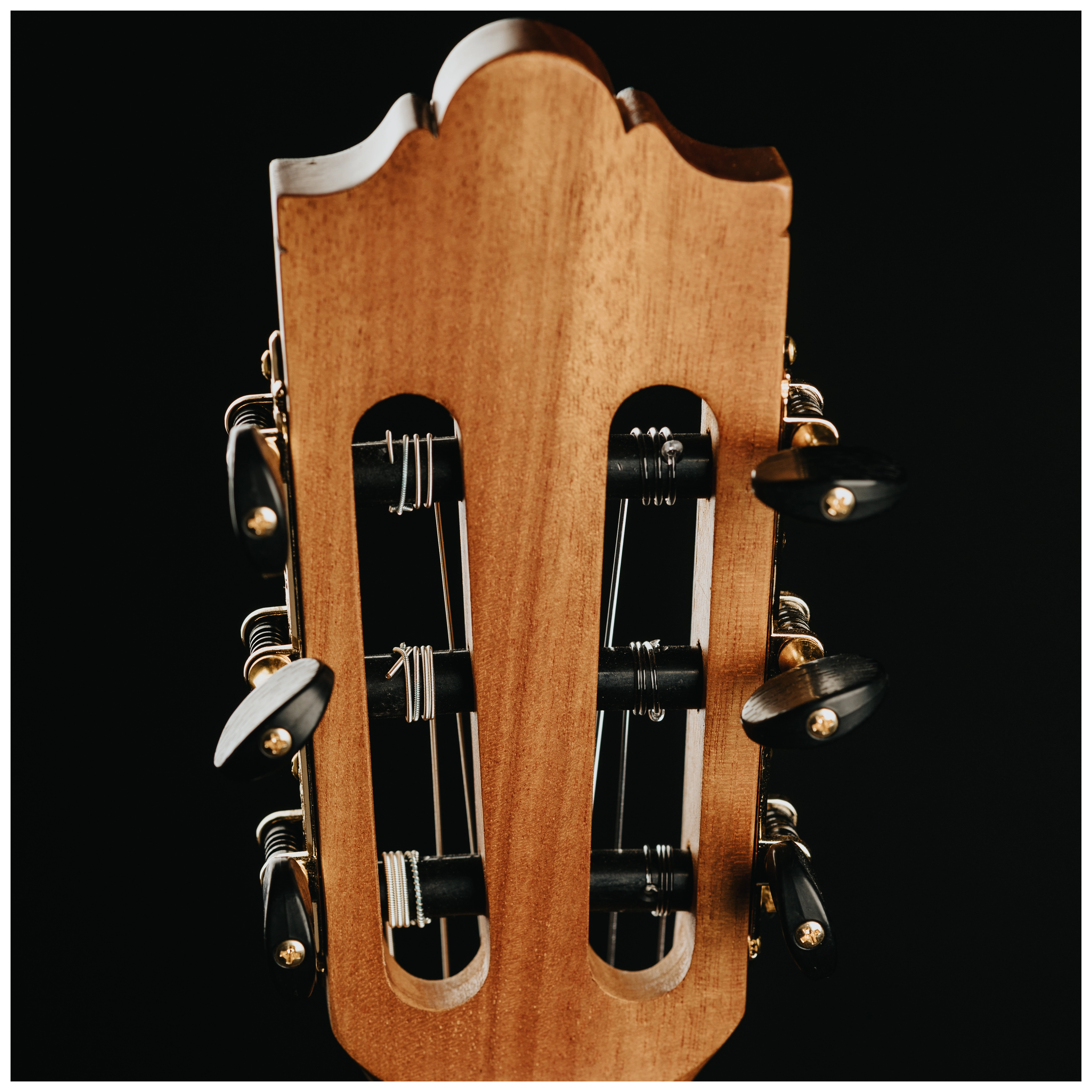 Maton Cantora Plus 4/4 LH 27
