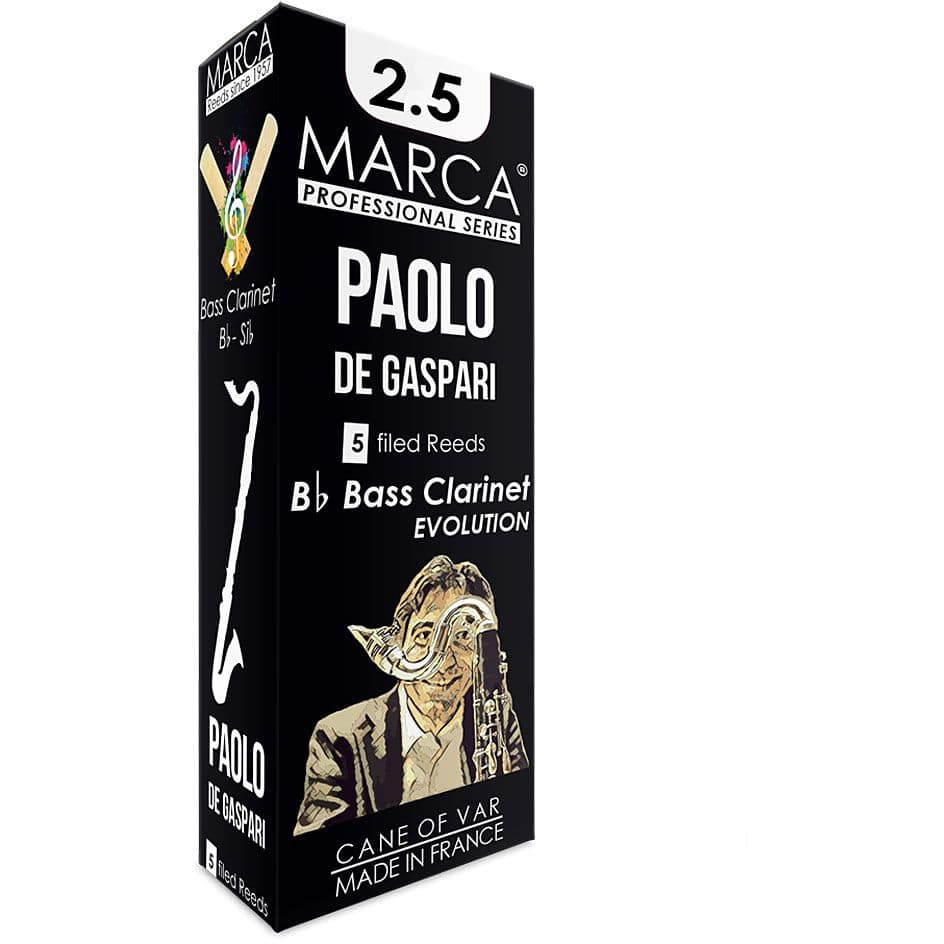  Paolo de Gaspari Boehm Bass Clarinet 2.5